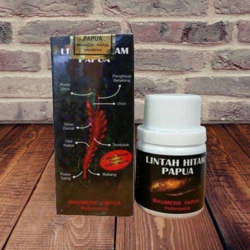 Jual Minyak Lintah Asli Obat Pembesar Penis Di Bogor Cod 081283377890