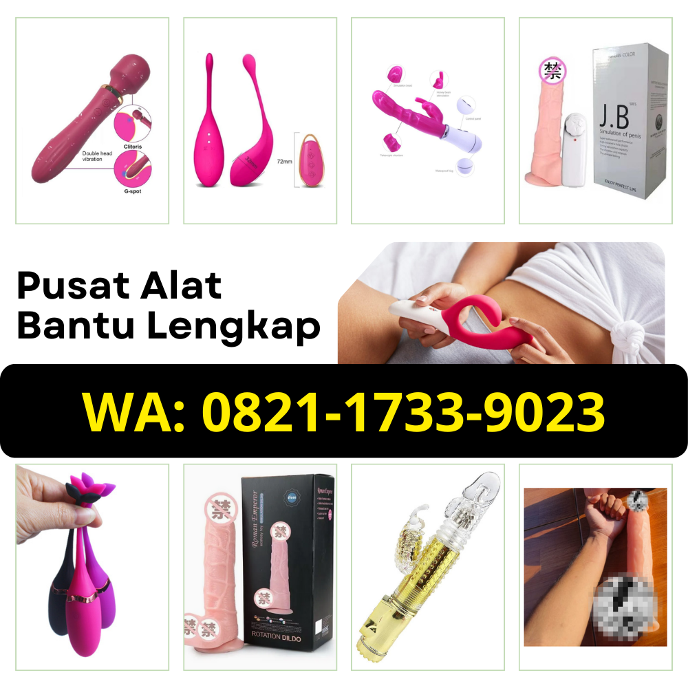 Penjual Alat Bantu Dewasa Aman 0821.1733.9023