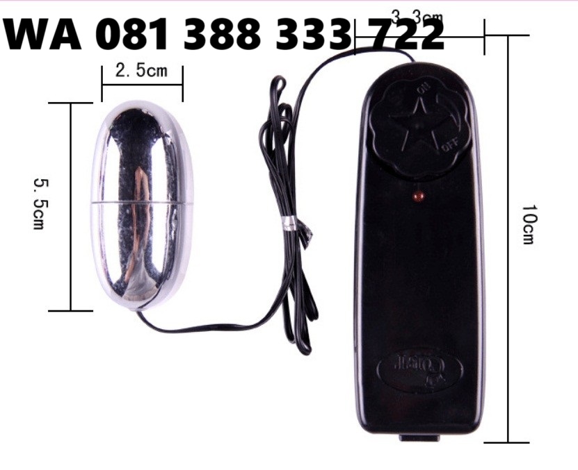 Toko Jual Alat Bantu Sex 081388333722 Vibrator Kapsul Getar Cod Surabaya